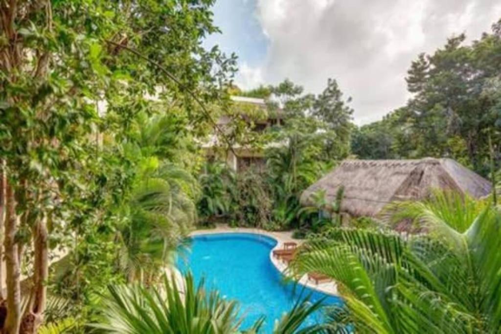 Condo Complex With An Alluring Pool & Tropical Vibes By Stella Rentals! Tulum Eksteriør bilde